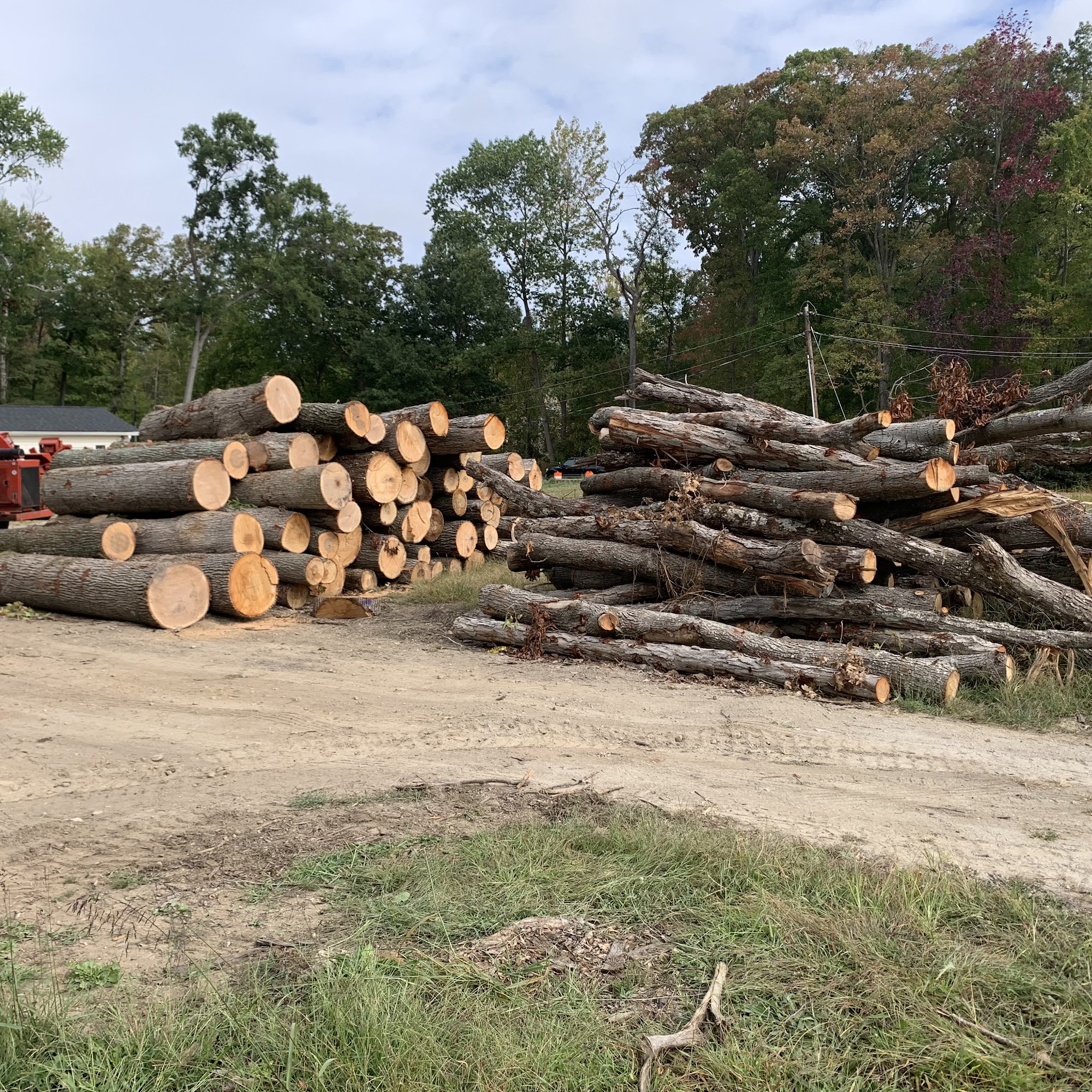 Campbell's Tree Services, LLC