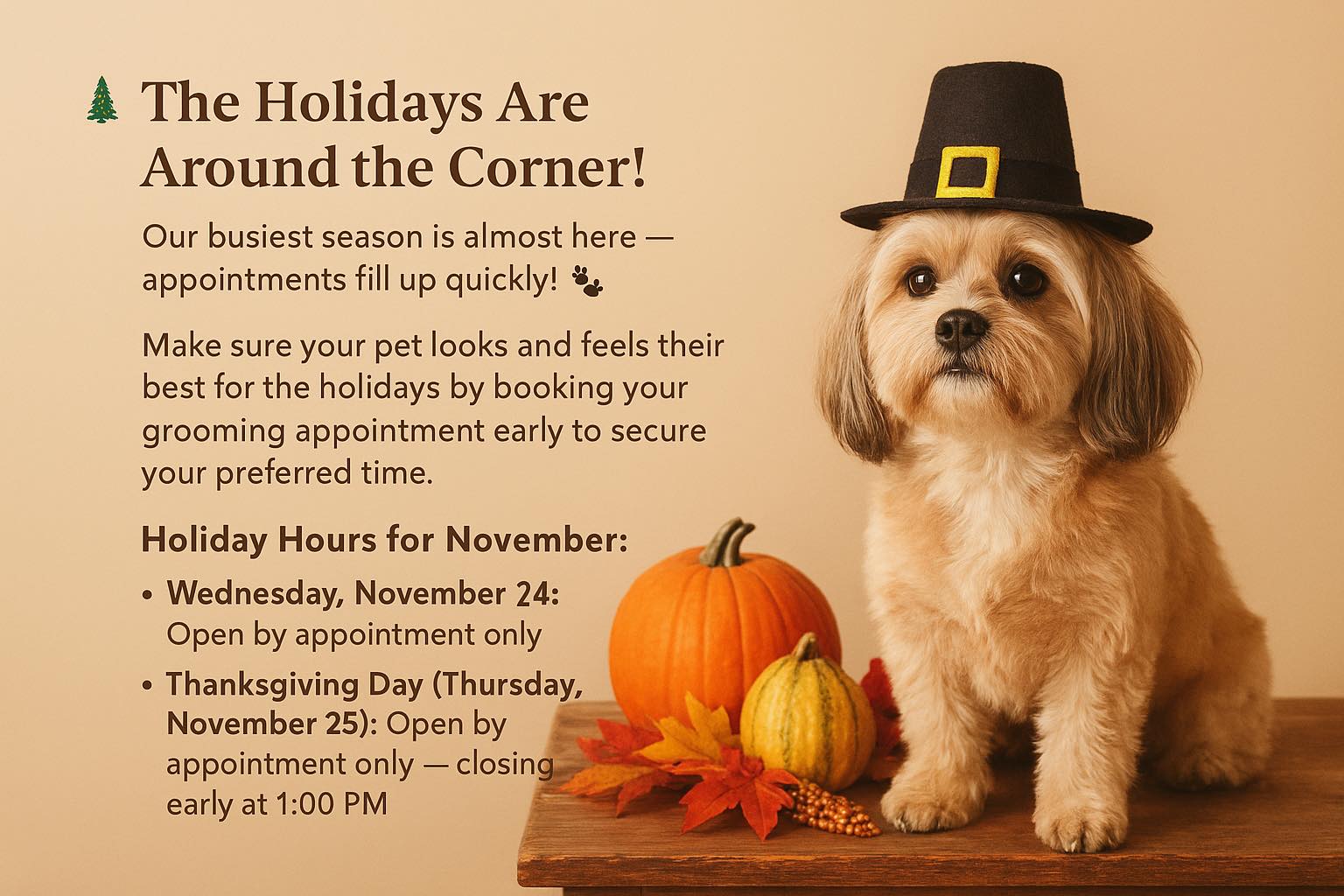 Groomingdale's Pet Salon and Spa Lewes