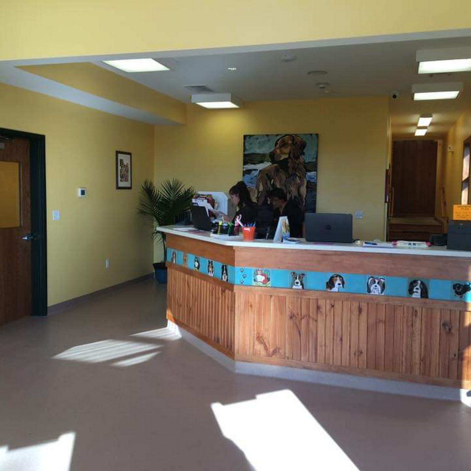 Middletown Pet Resort & Spa Middletown