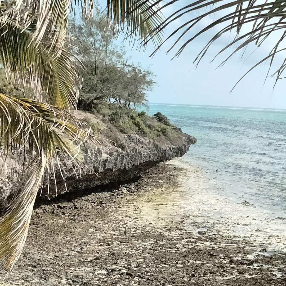 Taste of Heaven Travel Middletown