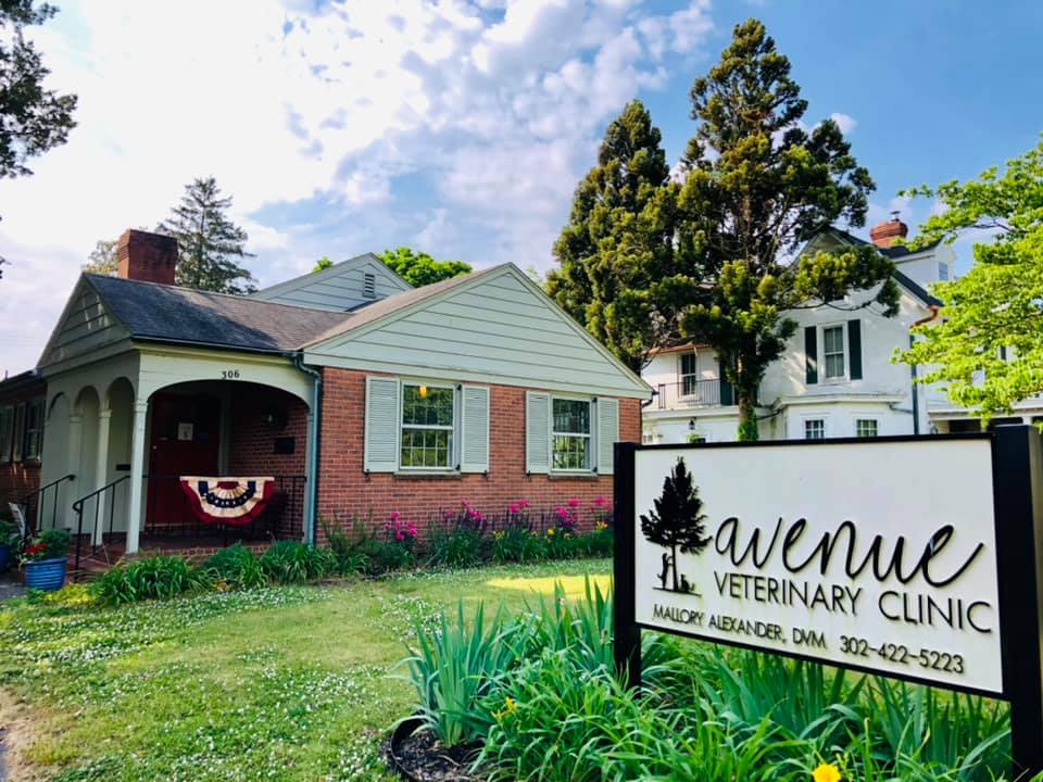 Avenue Veterinary Clinic Milford