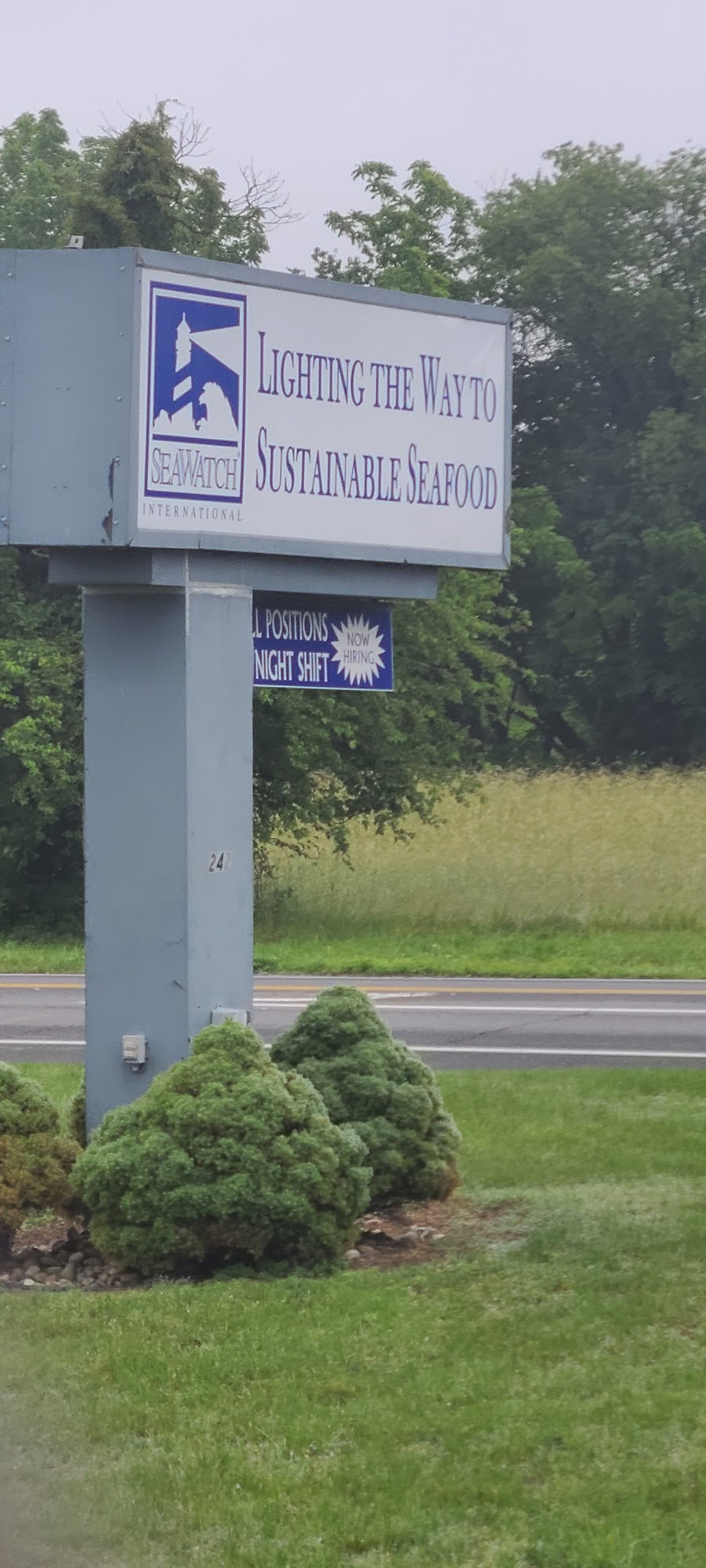 Sea Watch International Ltd Milford