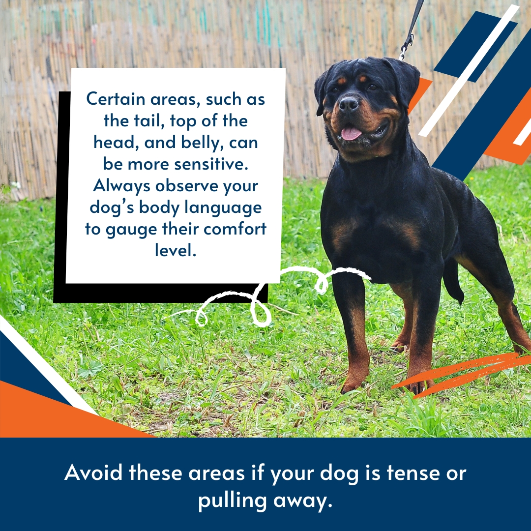 Off Leash K9 Training Delaware New Castle