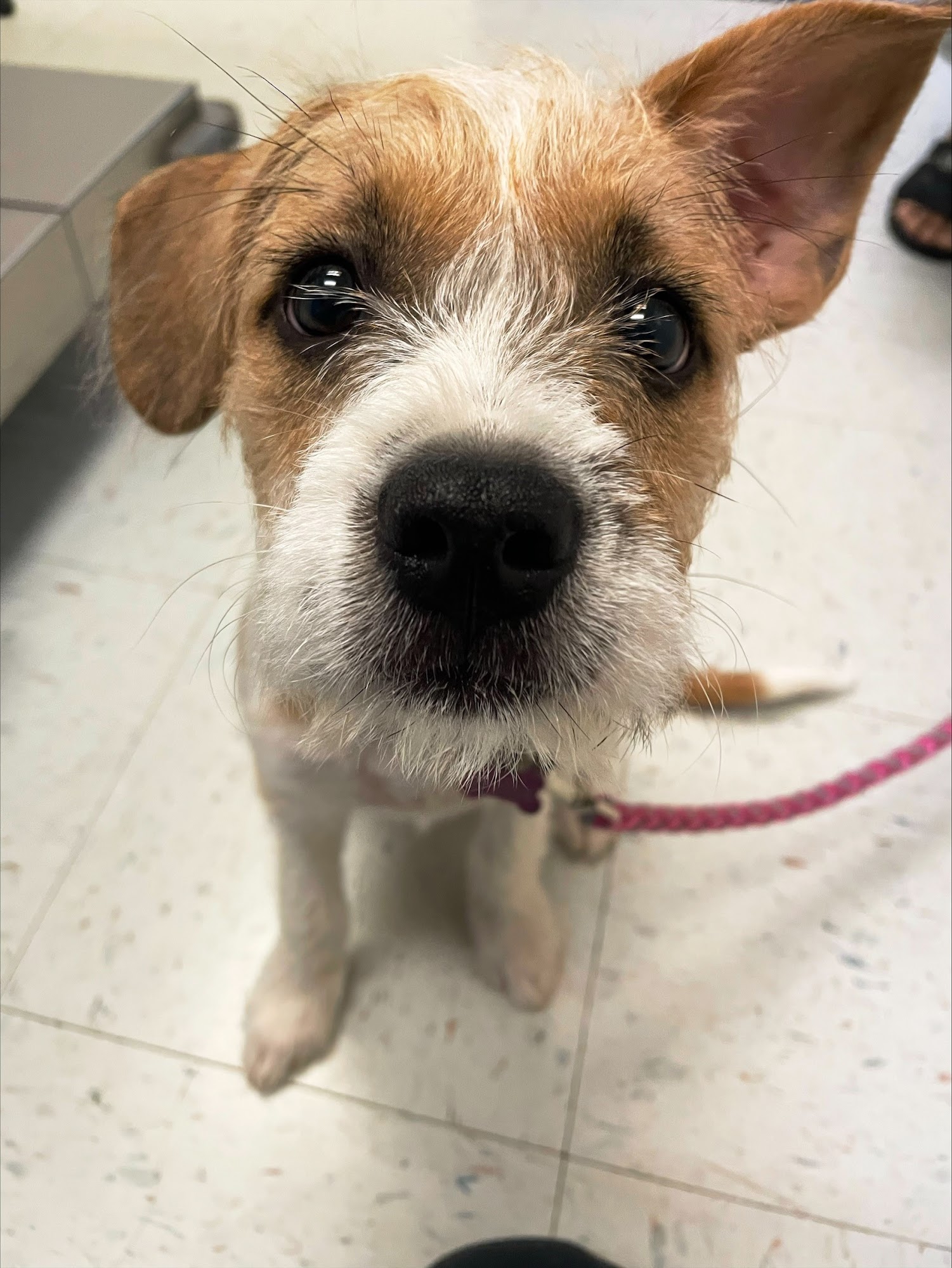 New London Veterinary Center Newark