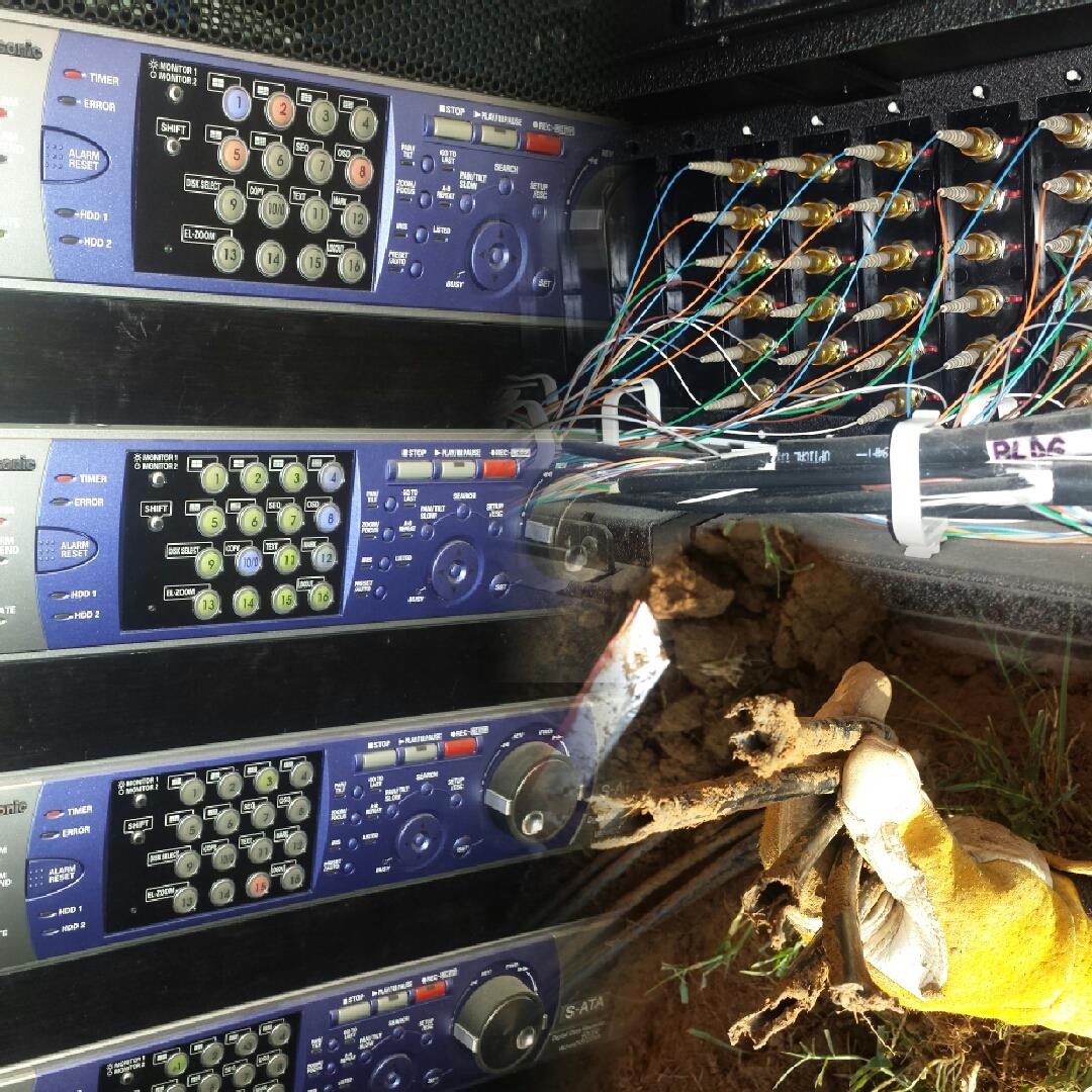 Delmarva Group, LLC Newark