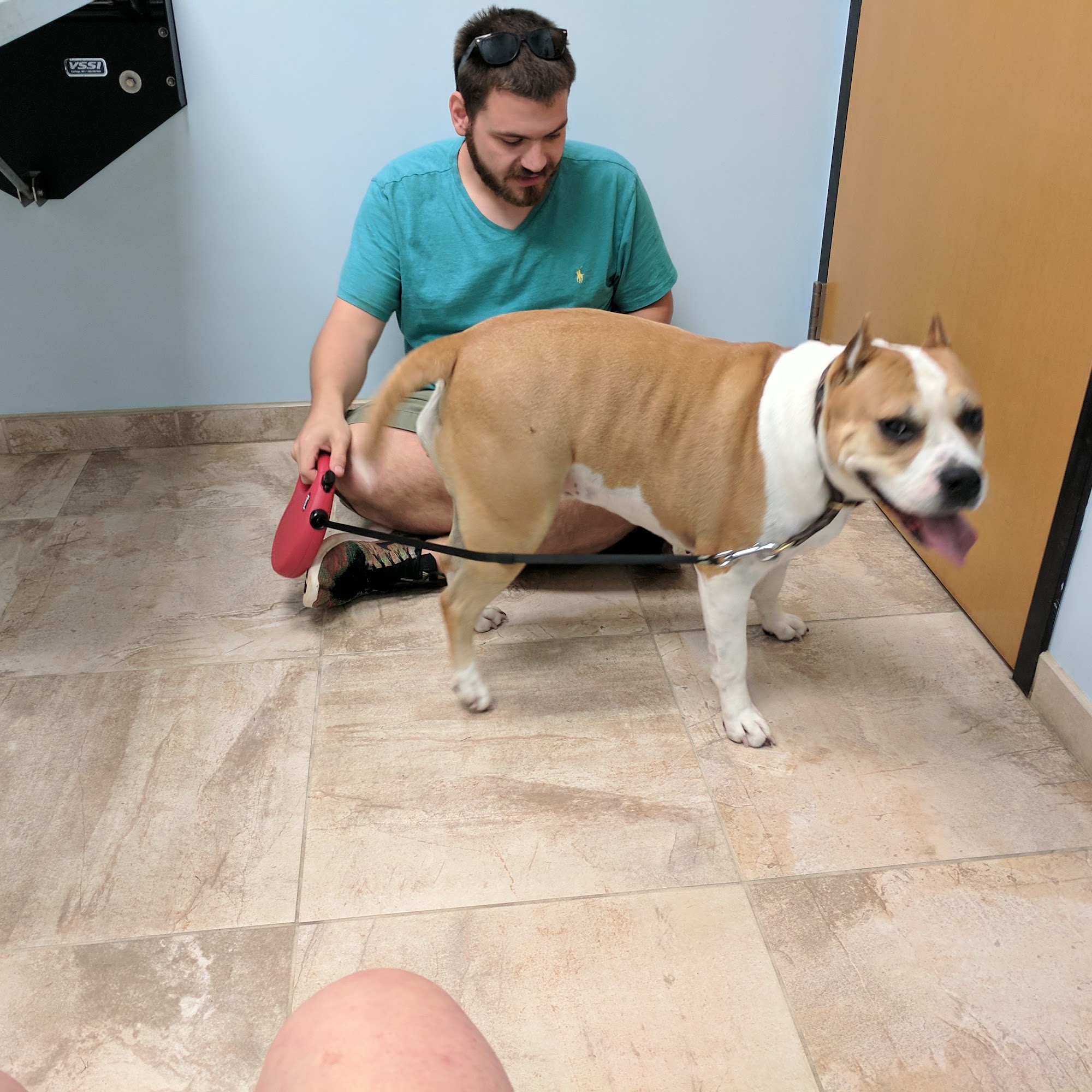 Rehoboth Beach Animal Hospital Rehoboth Beach