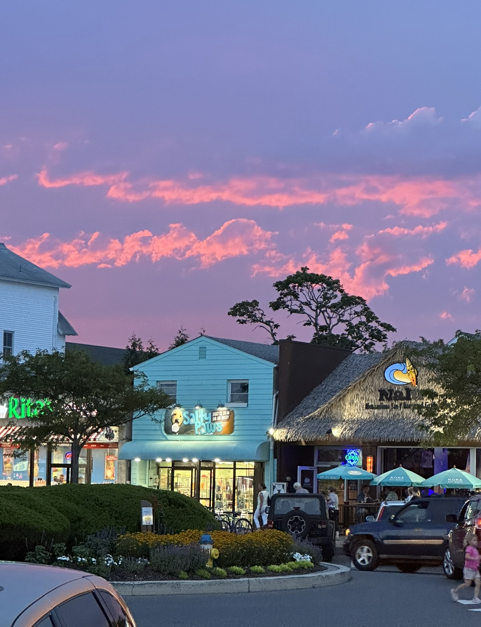 Salty Paws Doggy Ice Cream Bar And Bakery Rehoboth Beach
