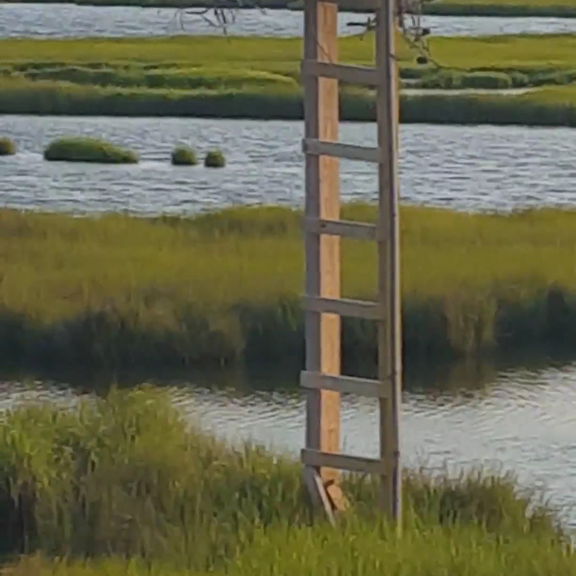 Captain Mac's Fish House & Seafood Market Selbyville