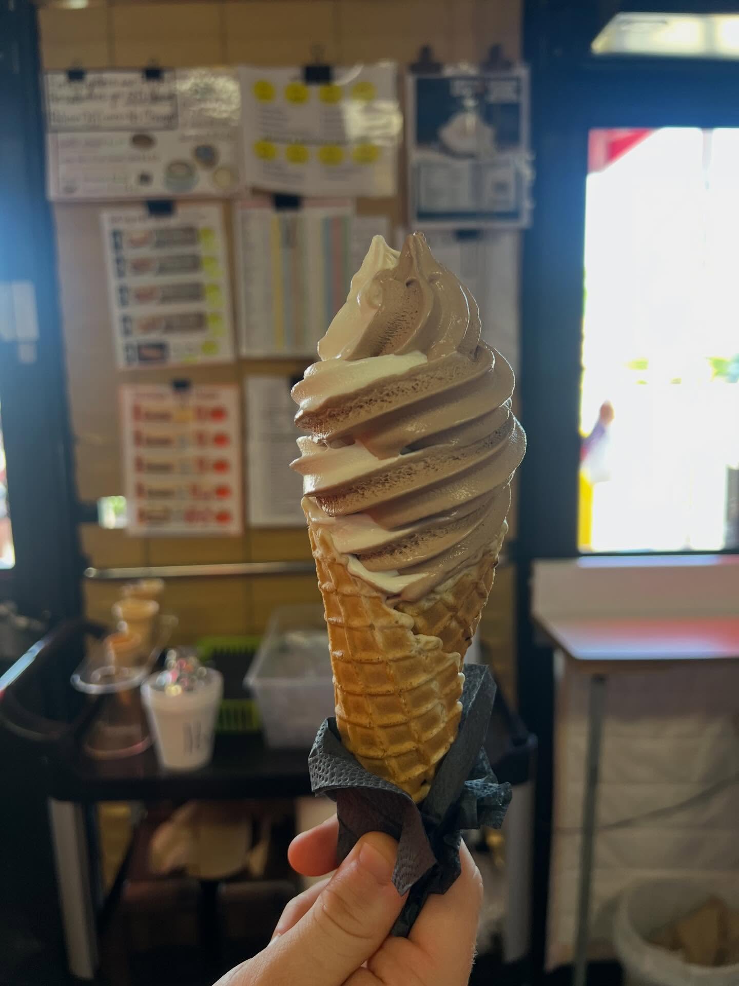 Ice Cream Shoppe Wilmington