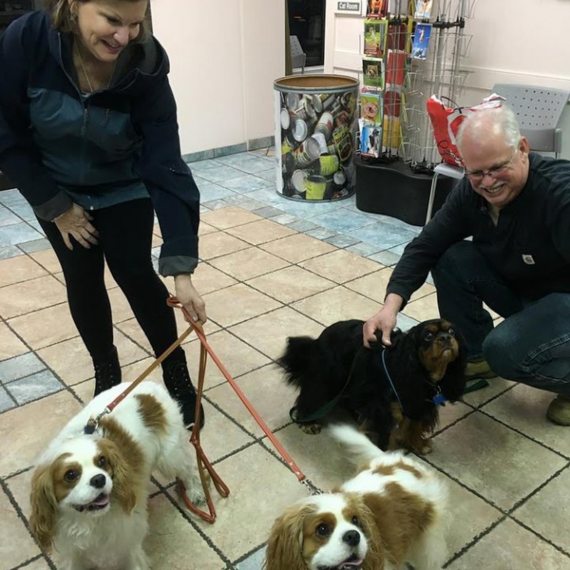 Wilmington Animal Hospital Wilmington