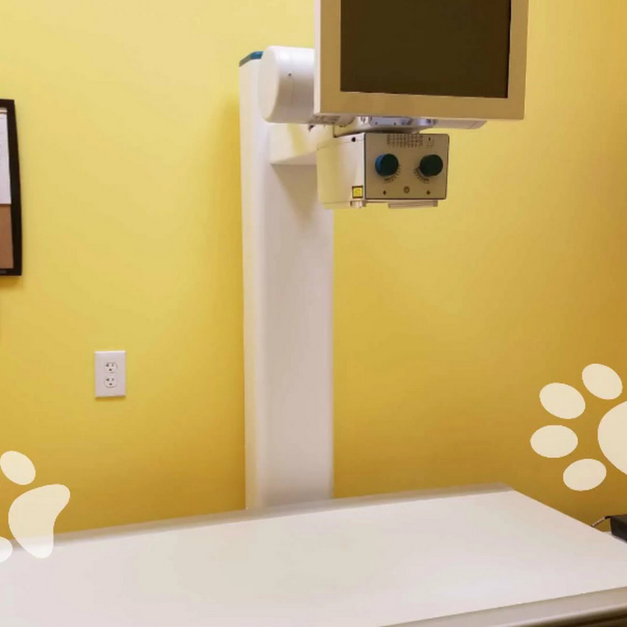 Naamans Animal Hospital Wilmington