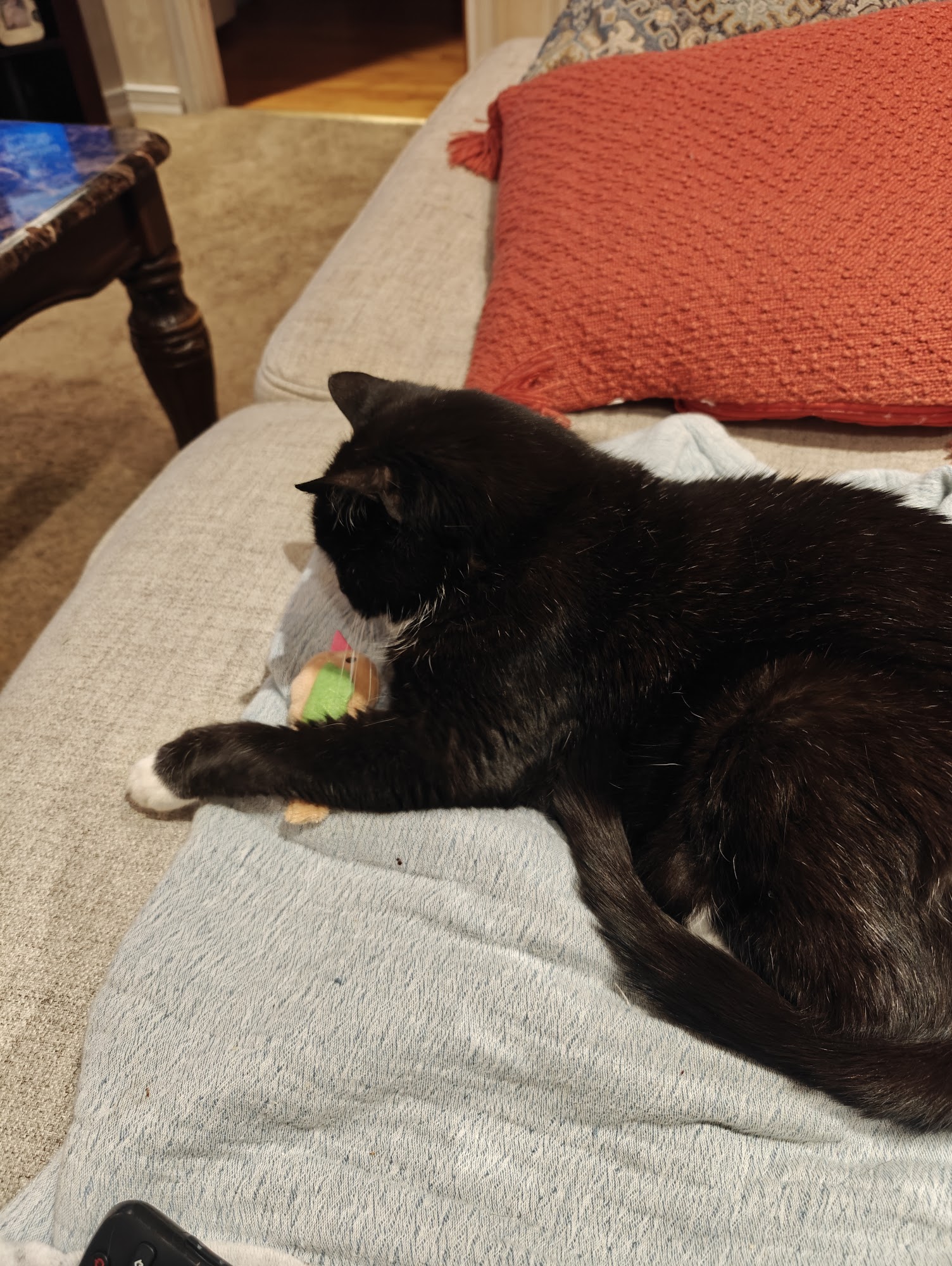 Branmar Veterinary Hospital Wilmington