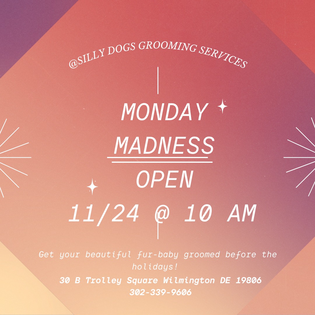 silly dogs grooming services Wilmington