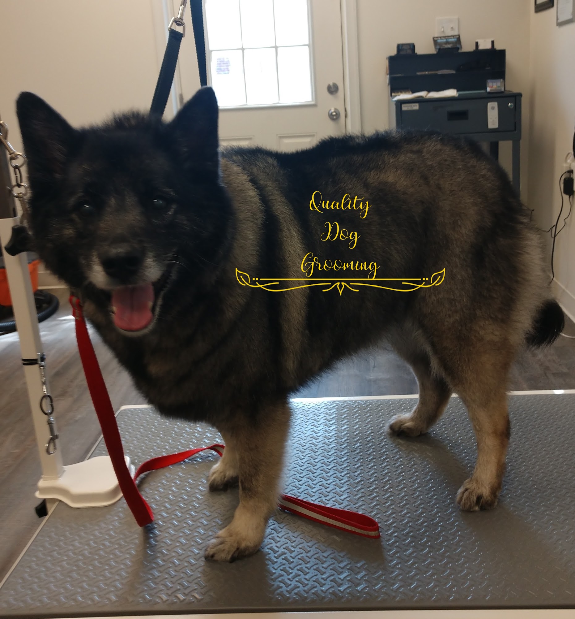 Quality Dog Grooming LLC Wilmington