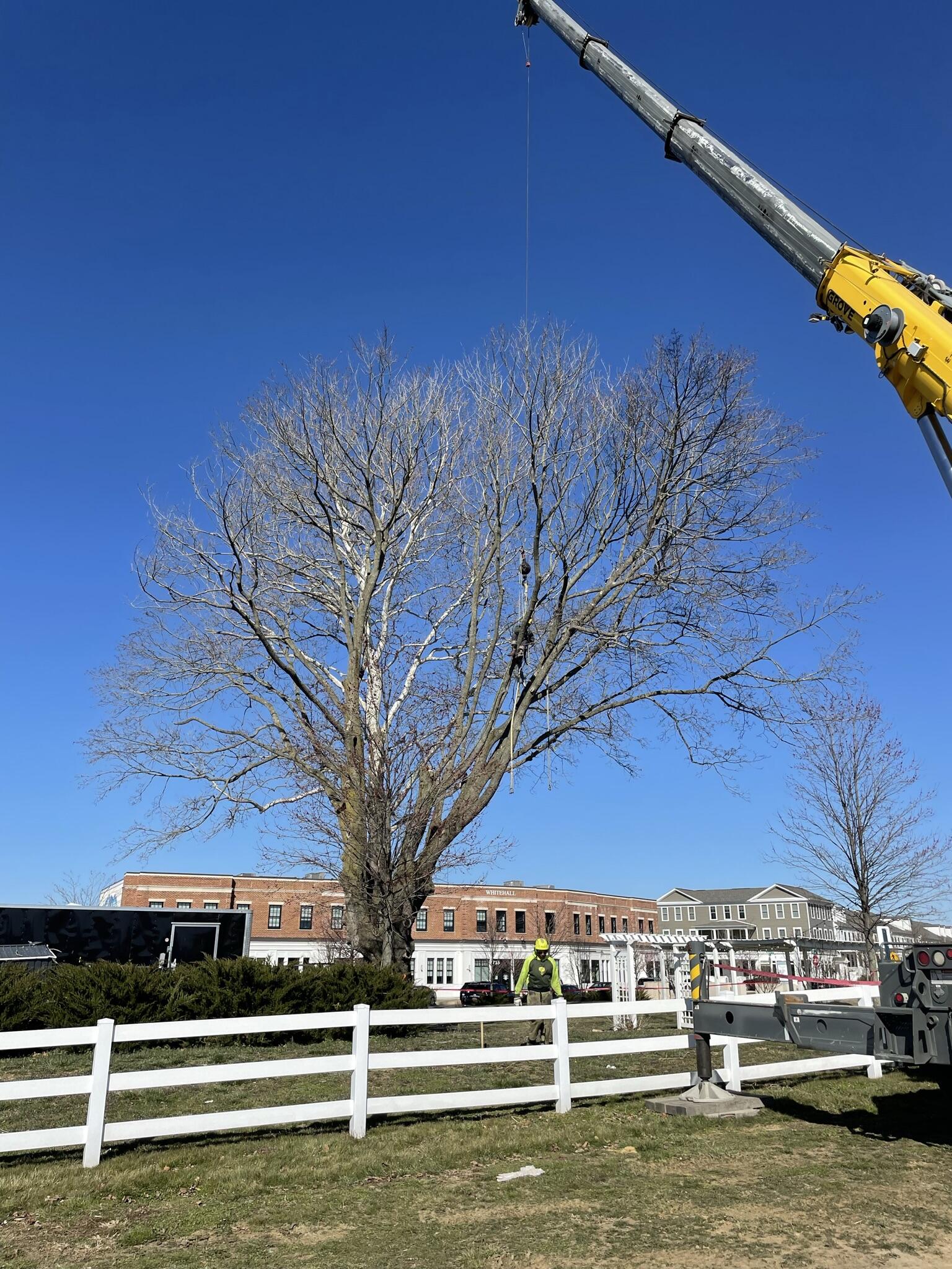 Photo credit: nextdoor