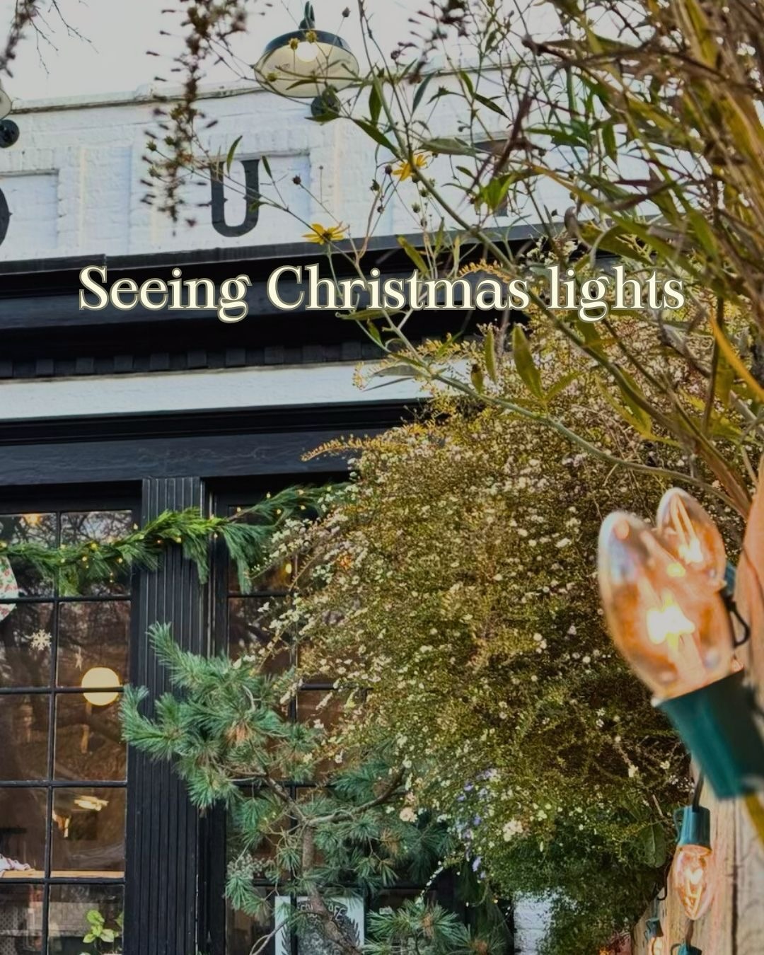 Scout Cafe Wilmington