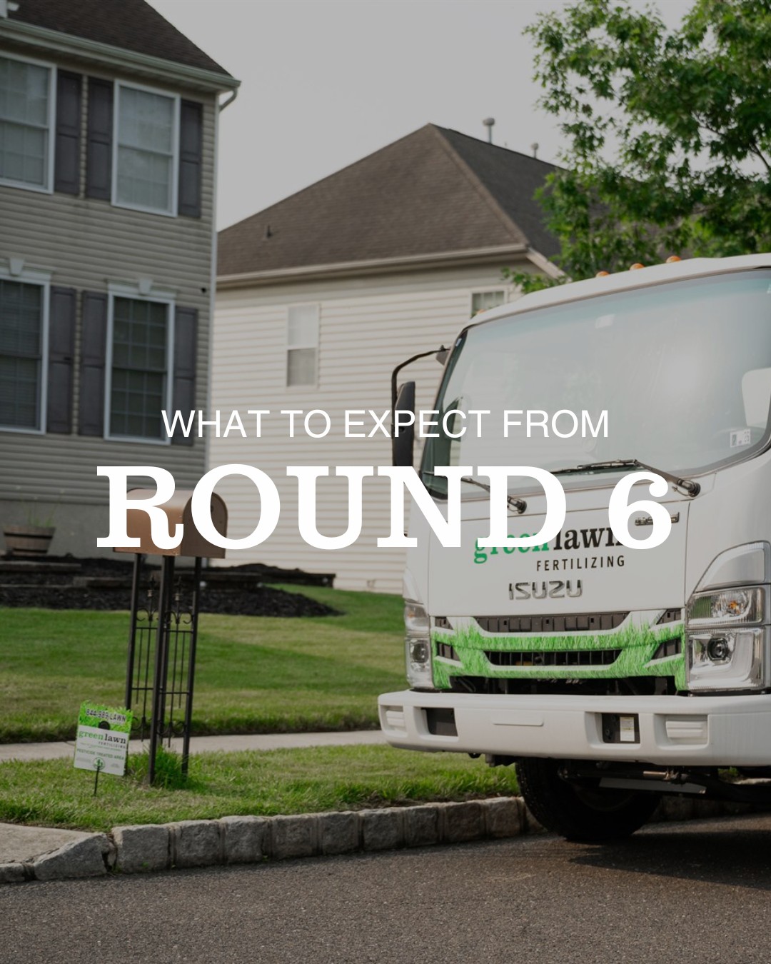 Green Lawn Fertilizing