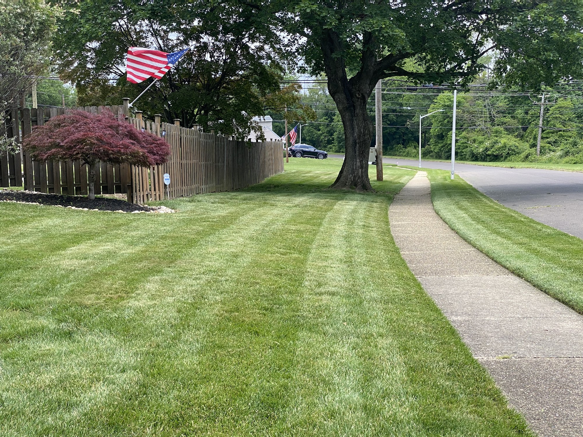 Green Lawn Fertilizing