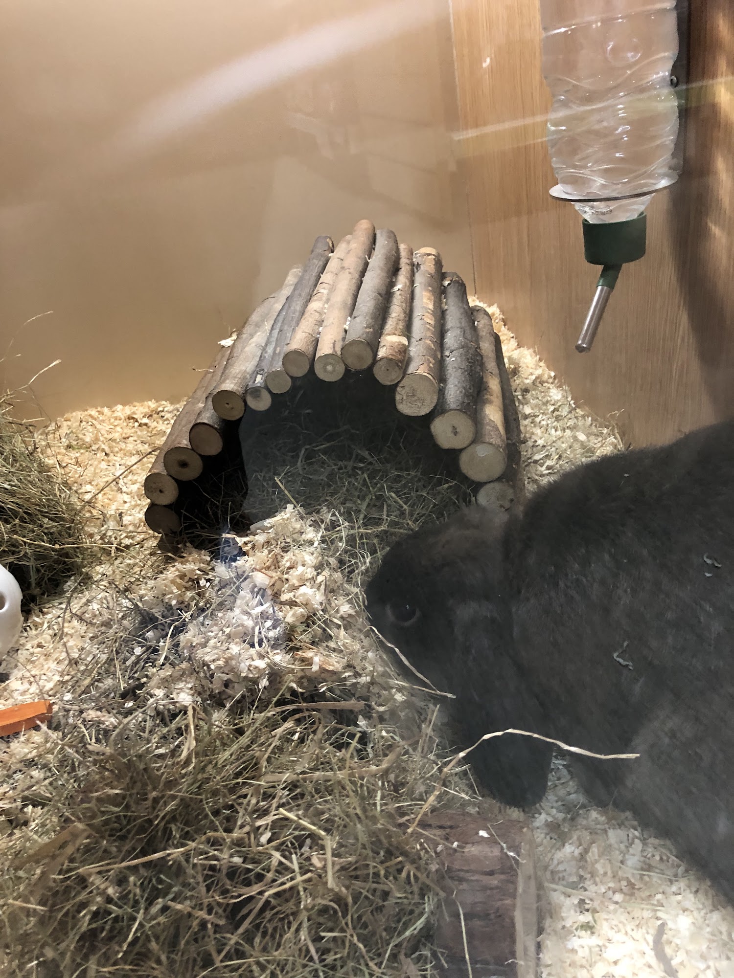 Pets at Home Dronfield