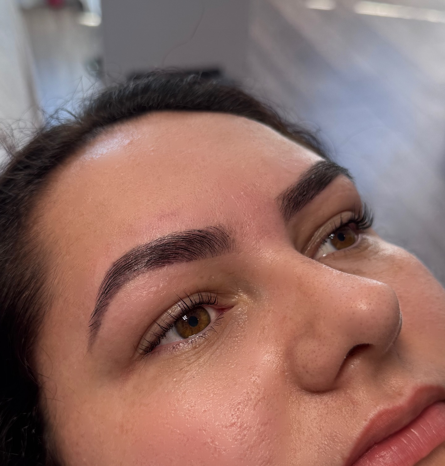 The Lash And Brow Boutique