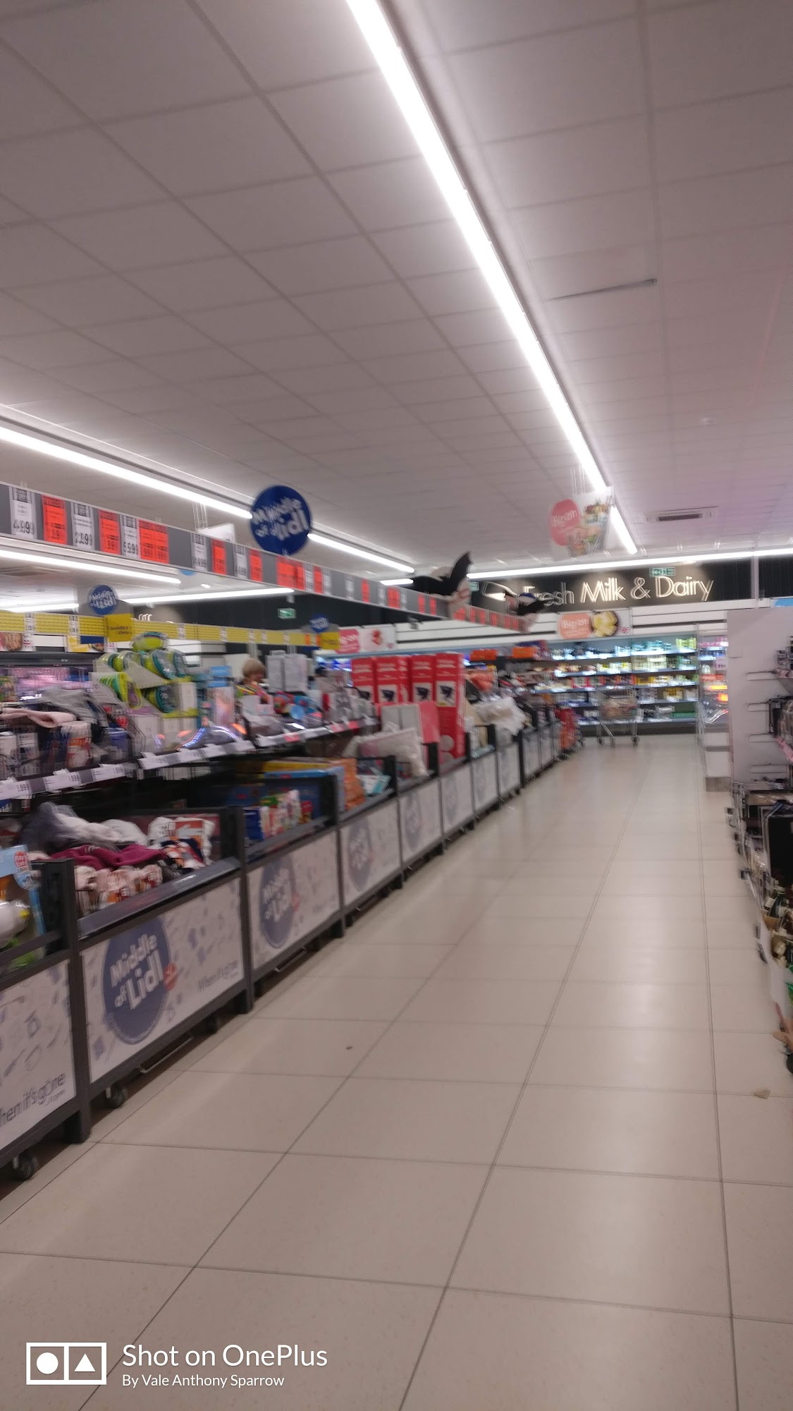 Lidl