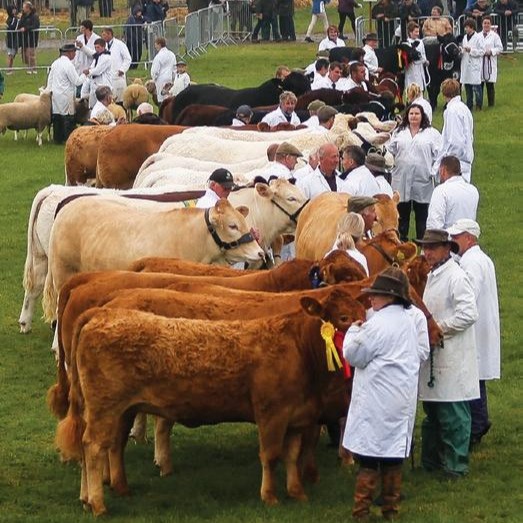 Mole Valley Farmers - Newton Abbot