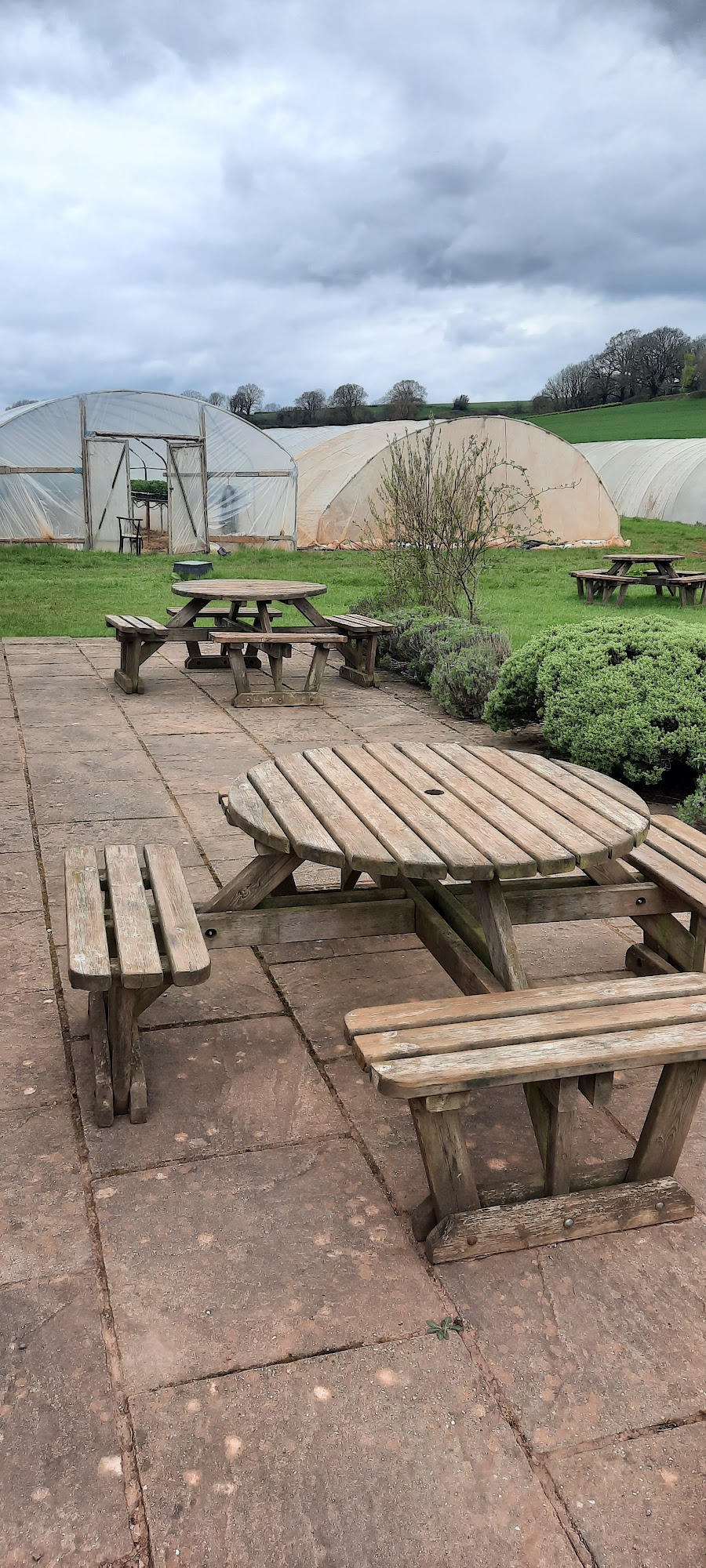 The Swans Neck Café Menu