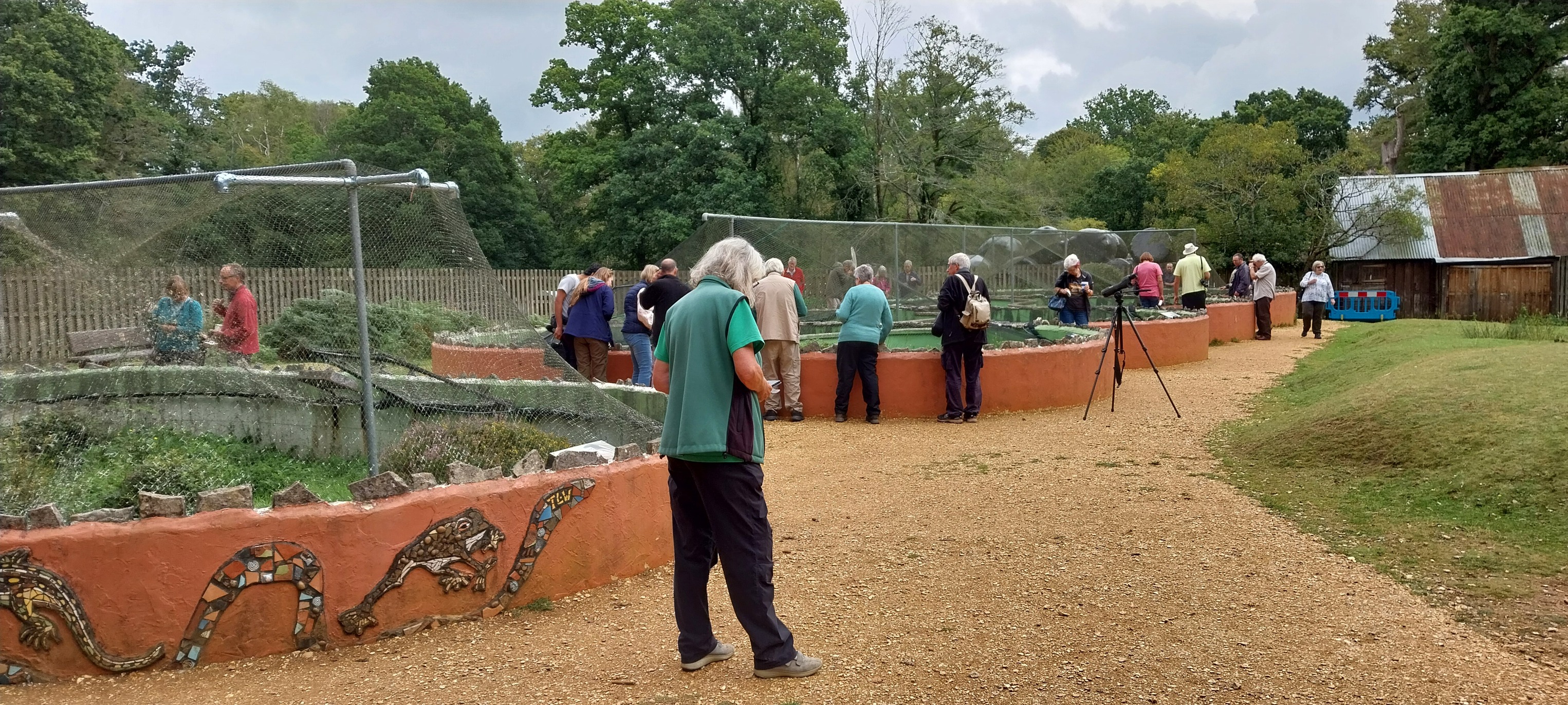 Amphibian and Reptile Conservation
