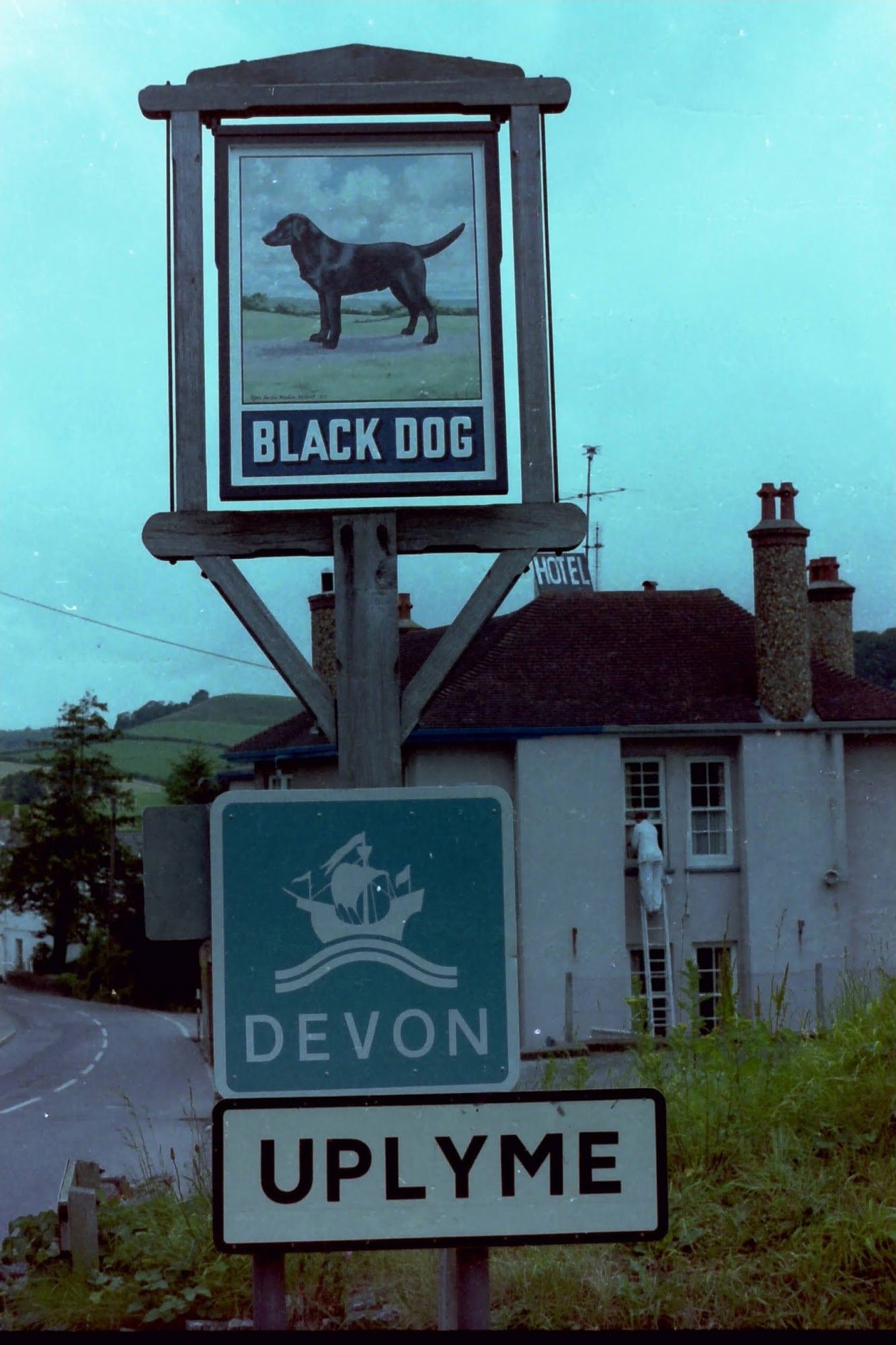 The Old Black Dog