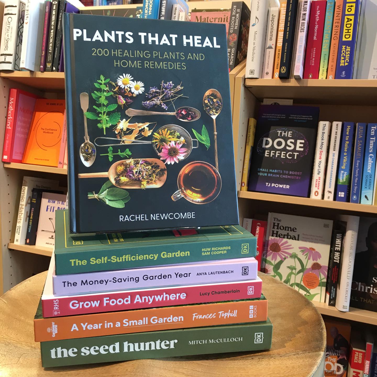Lyme Regis Bookshop