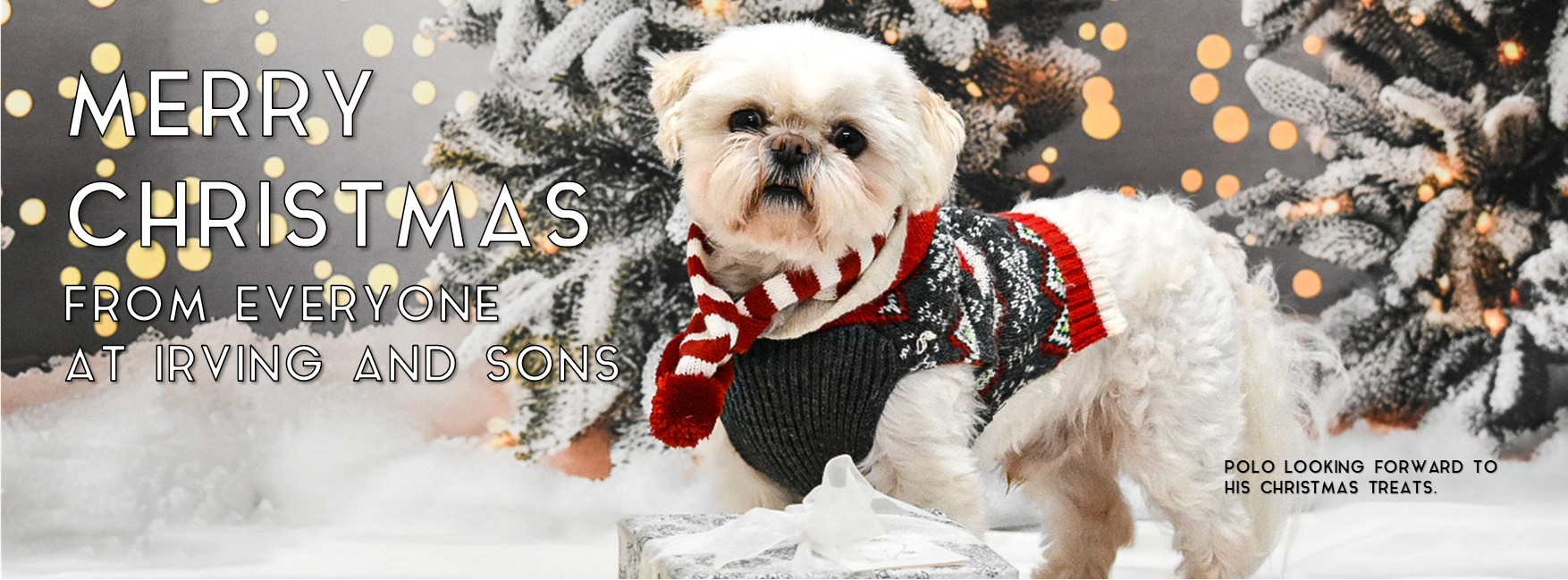 Irving and Sons Estate Agents Verwood