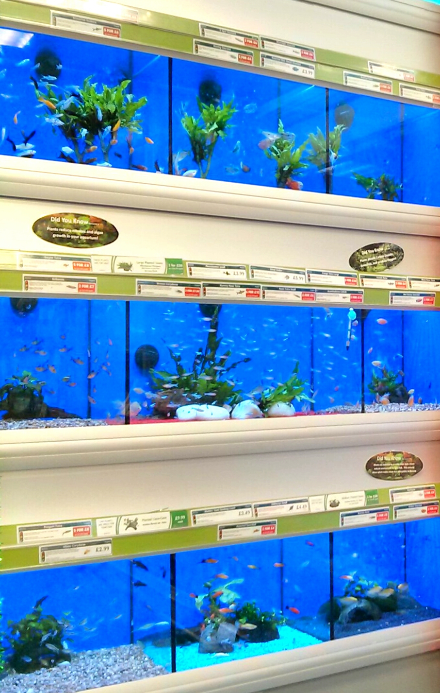 Pets at Home Consett