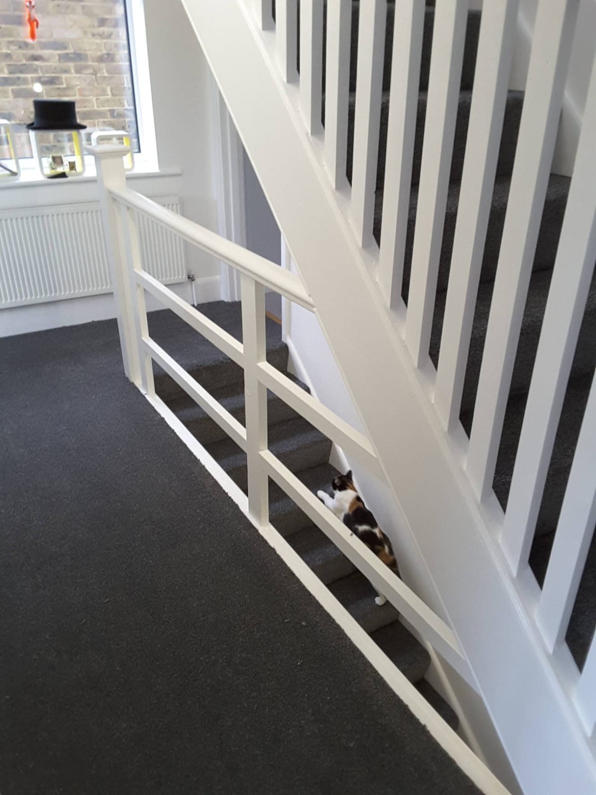 Carpetright Hove