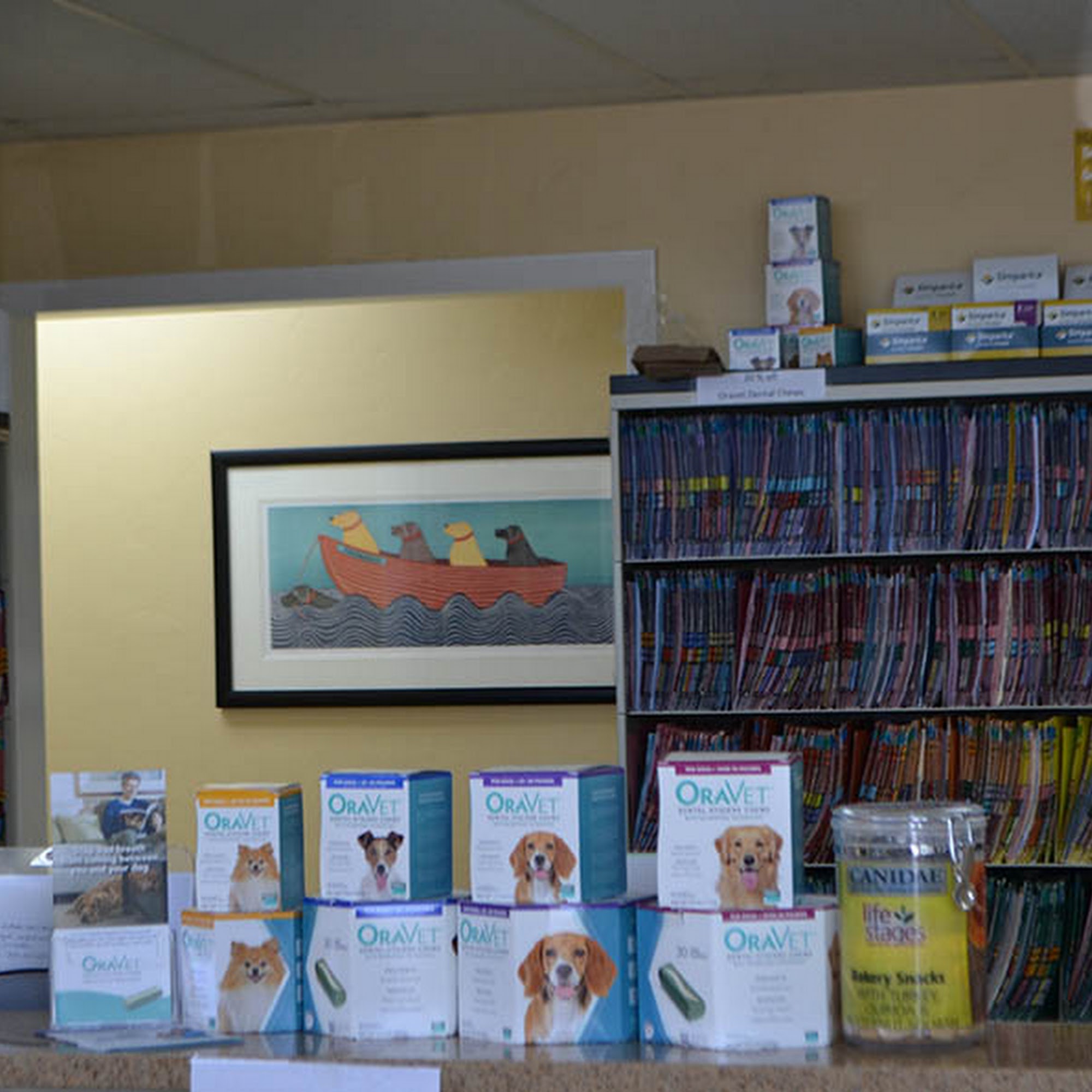 Countryside Animal Hospital Alachua