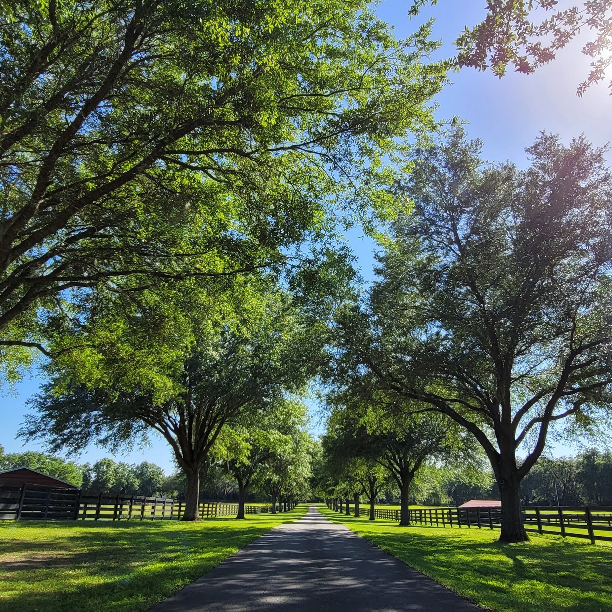 Oak Lane Weddings & Events Alachua
