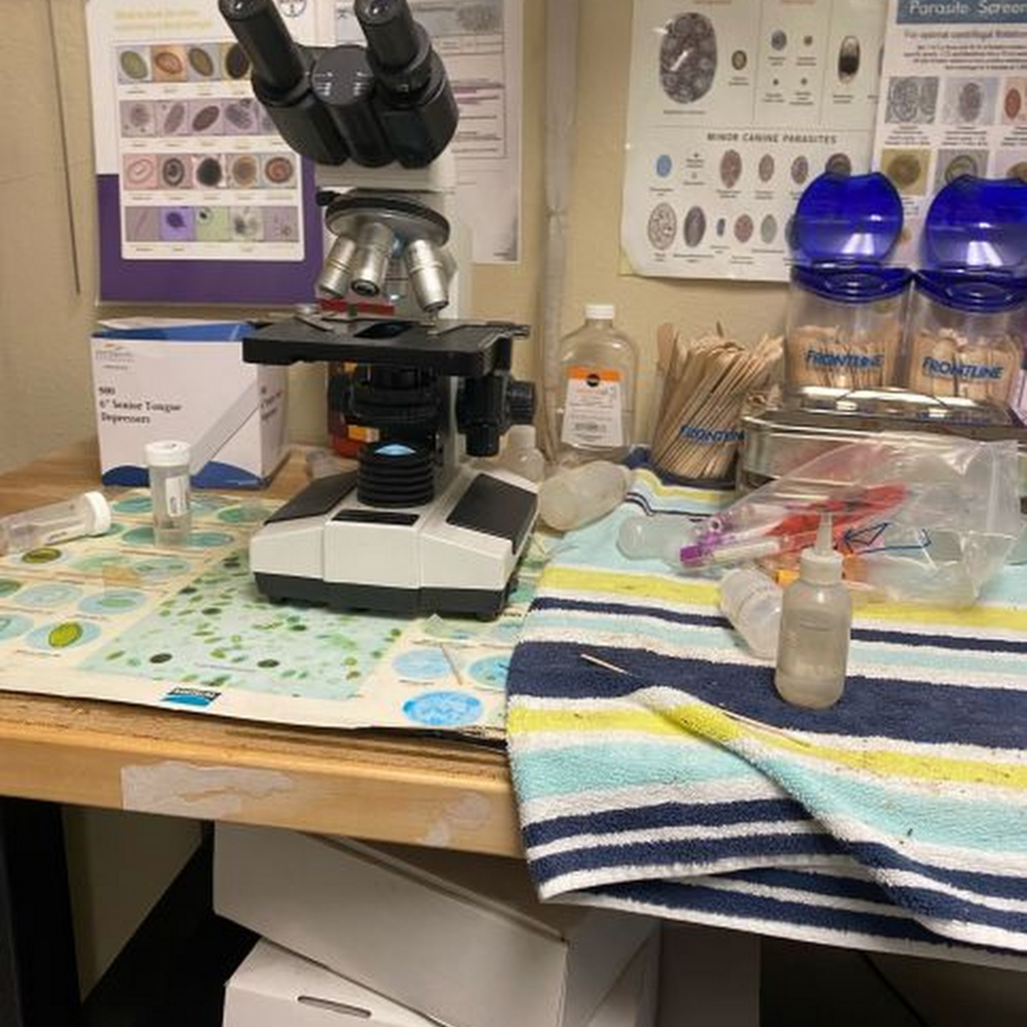 Altamonte Pet Doc Hospital Altamonte Springs