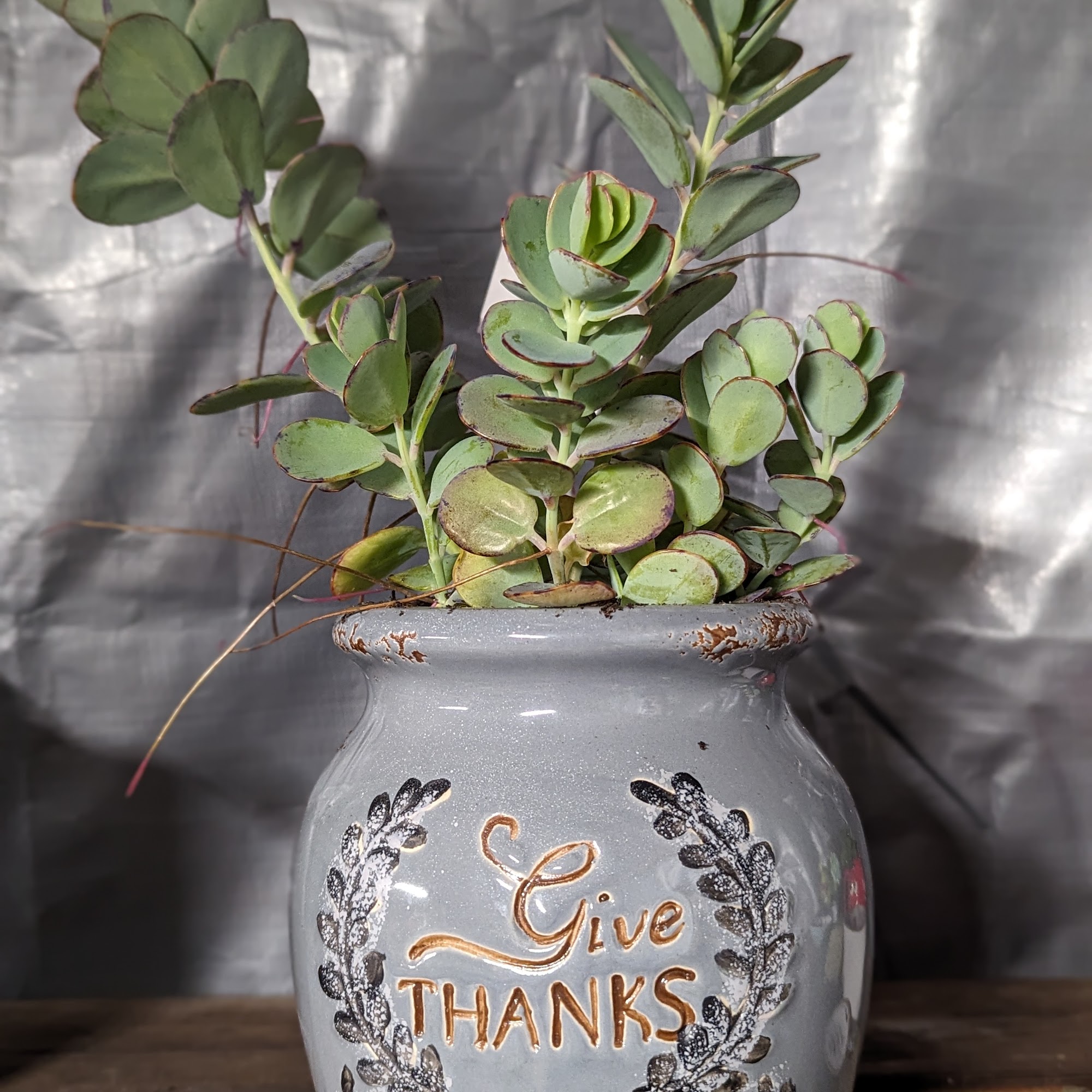 Red's Creations DBA Red's Garden Creations Altamonte Springs