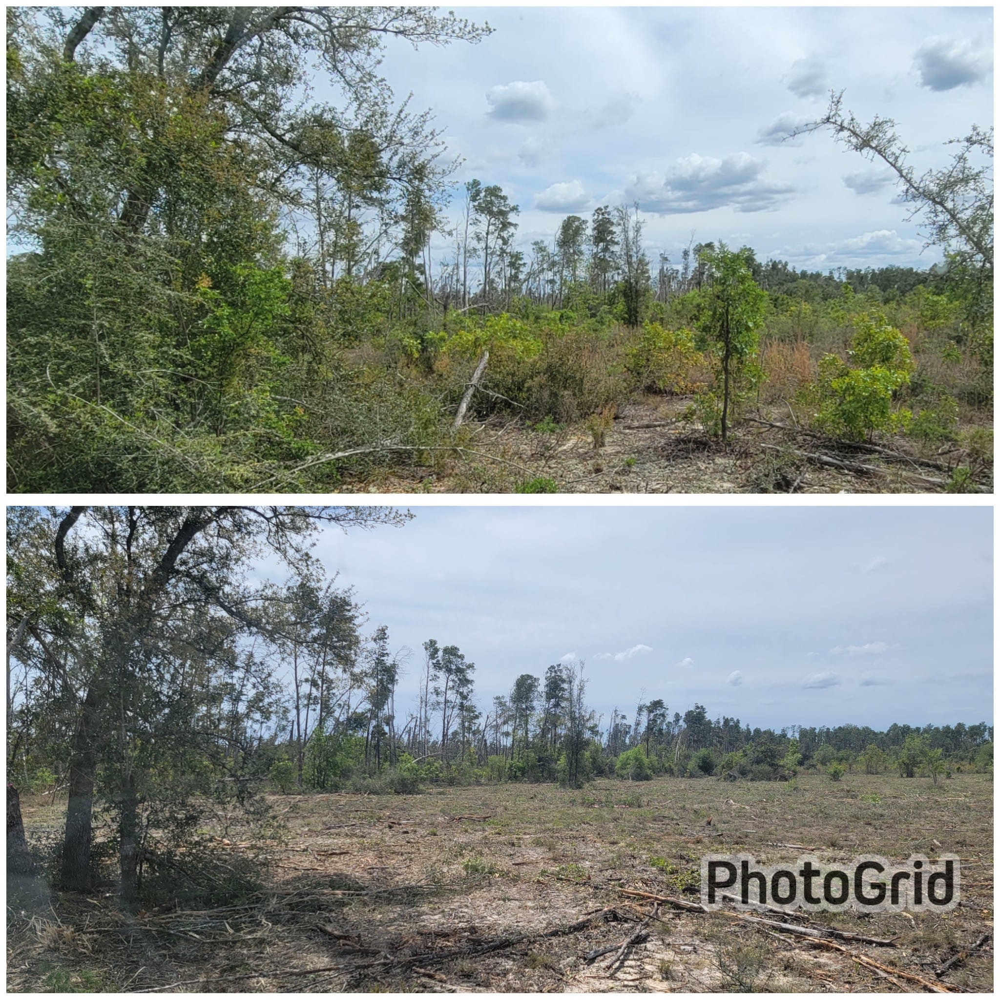 Clay O'Neals Land Clearing