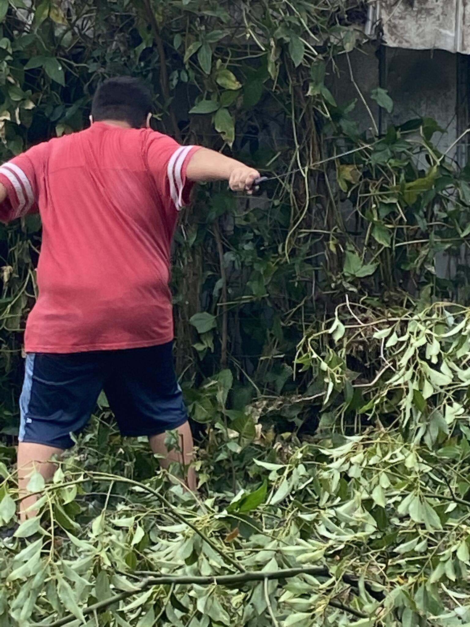 Photo credit: nextdoor