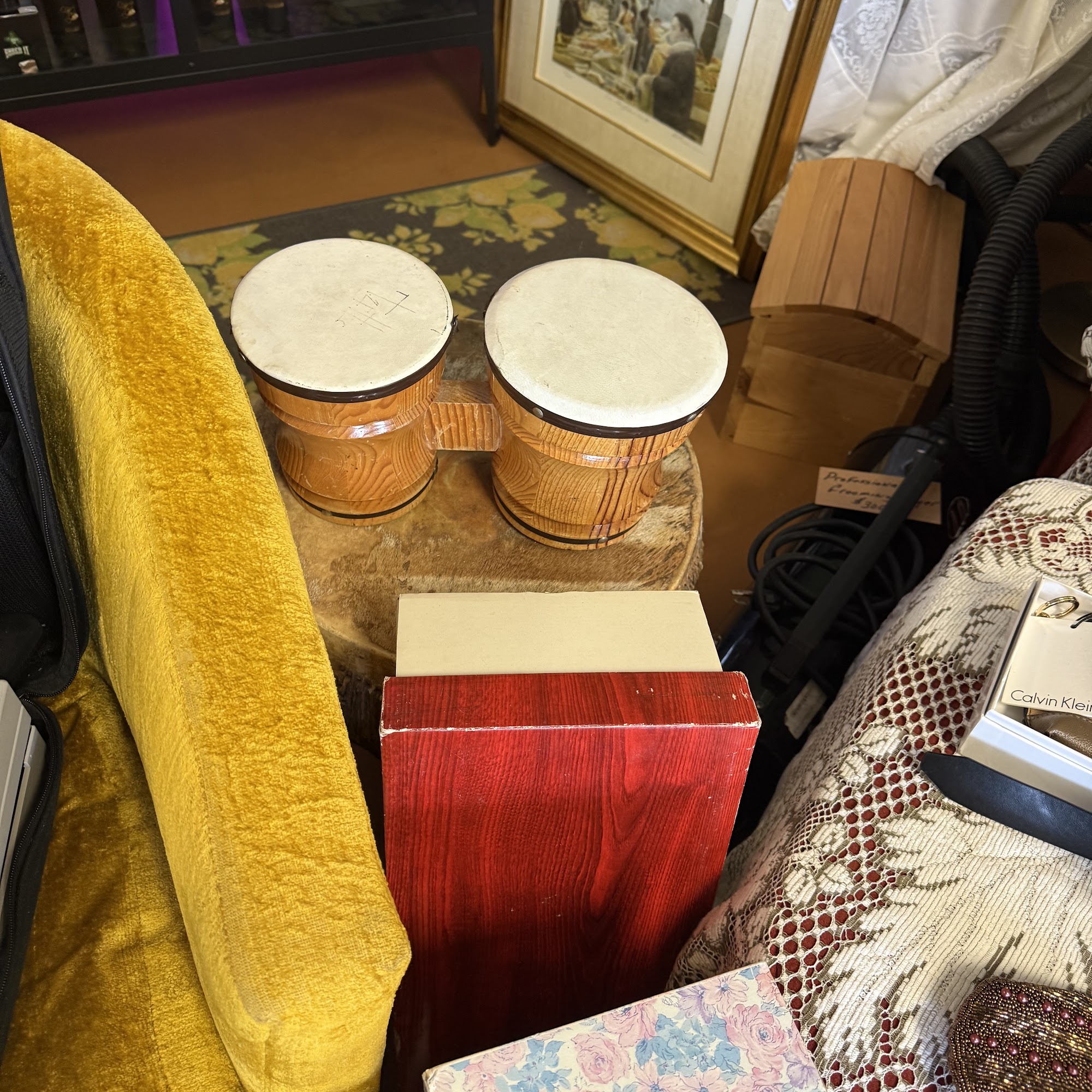 Paws and You Apollo Beach