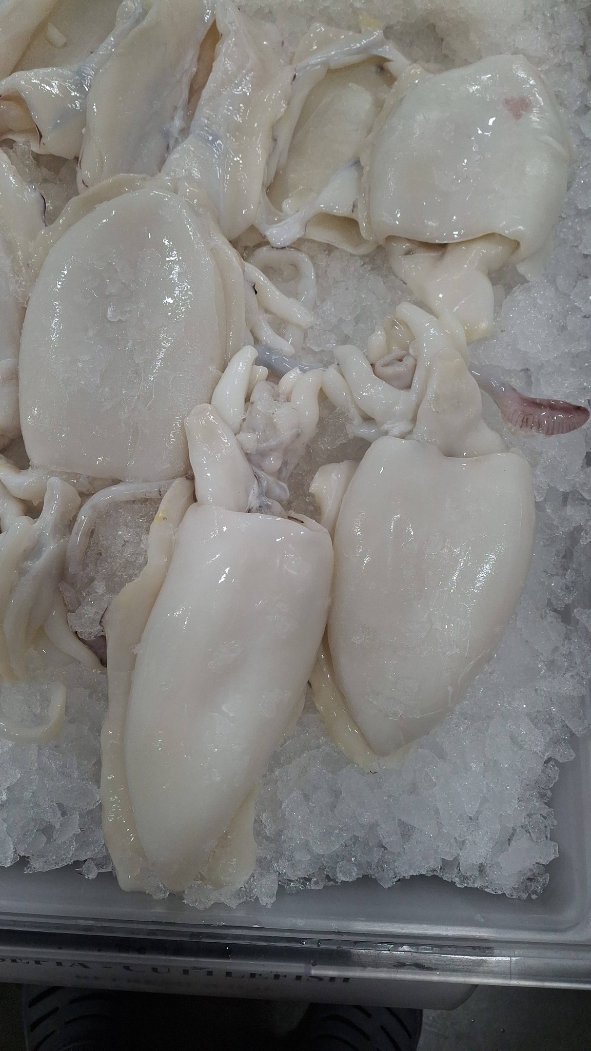 ??????'? ???? & ????? ???????? Restaurant Apopka