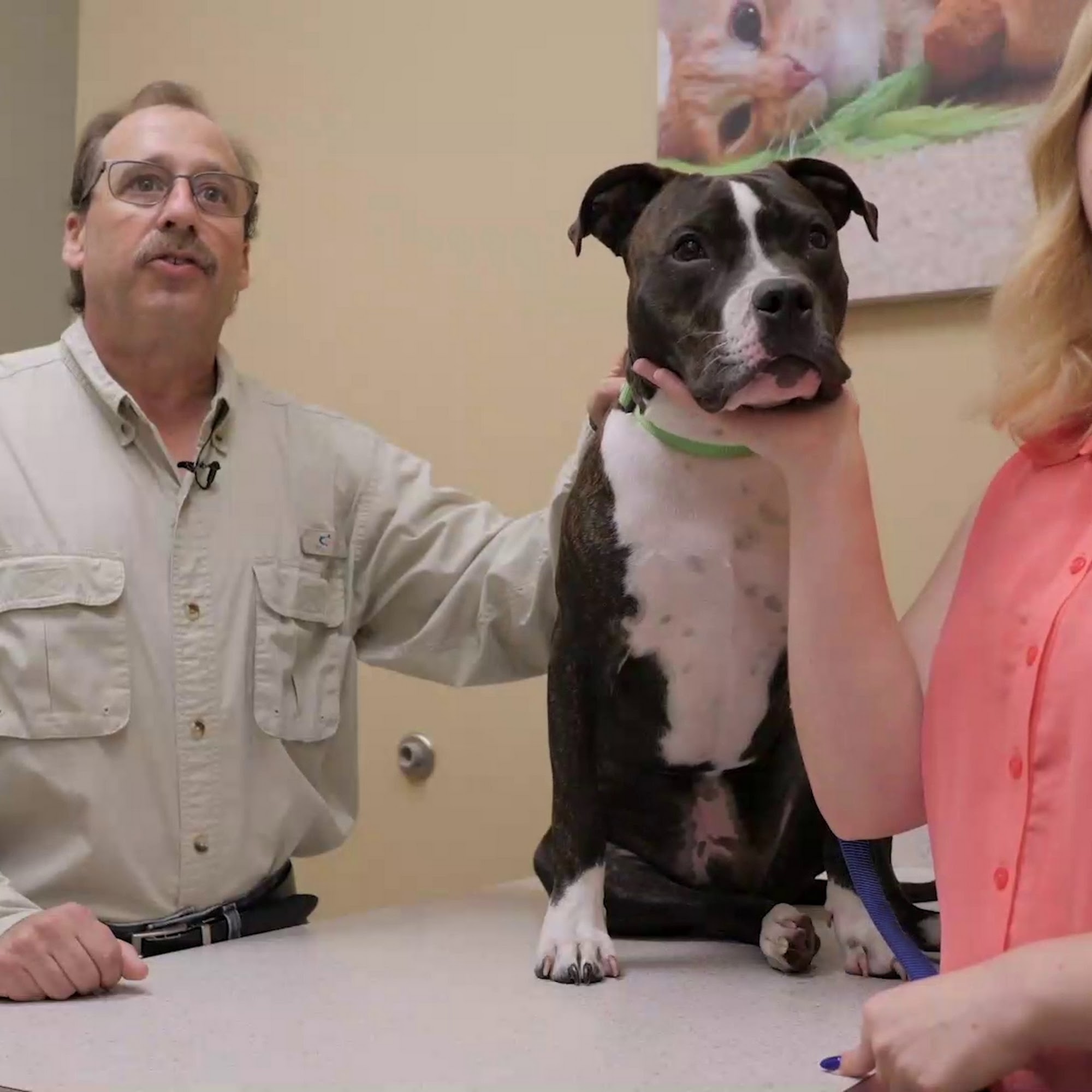 Pet Xpert Animal Clinic Apopka