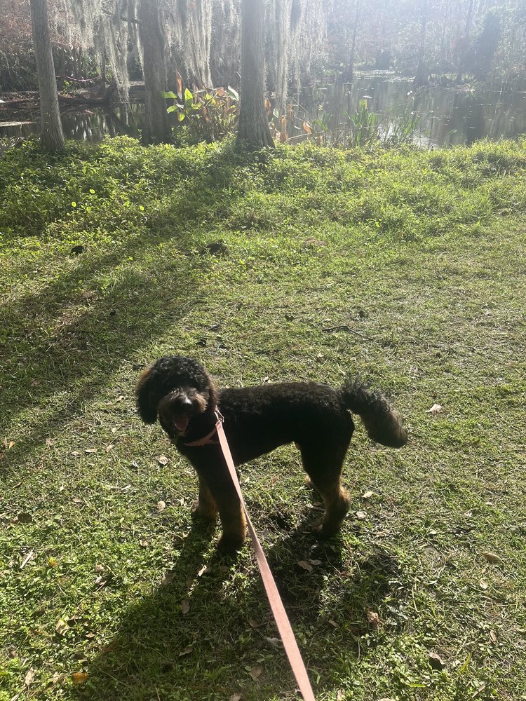 Dr. John Turgai Apopka