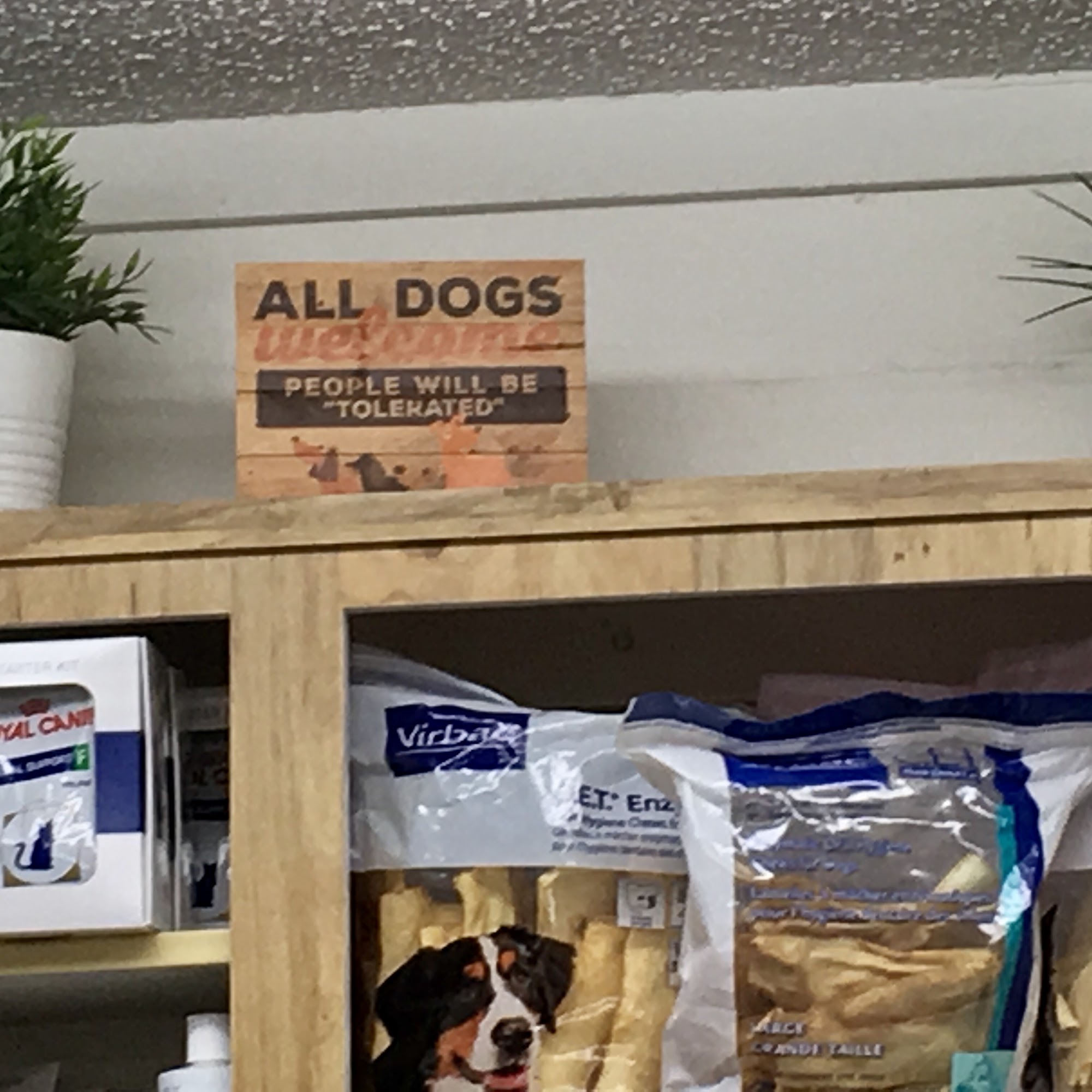 North Orange Animal Hospital Apopka