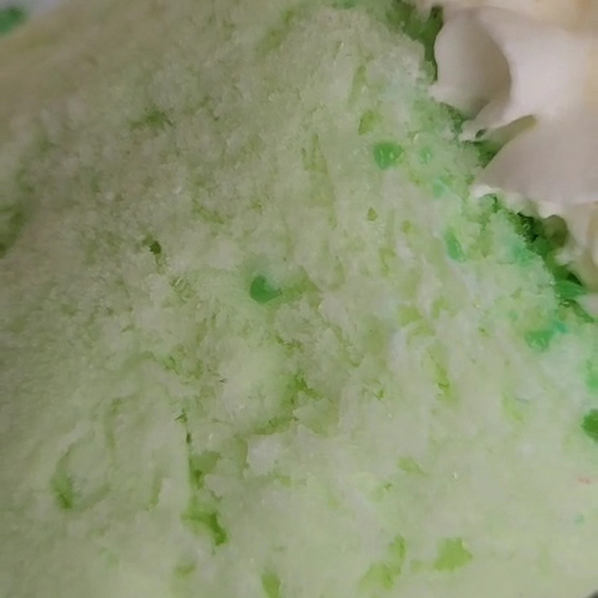 Vampire Penguin of Apopka Apopka