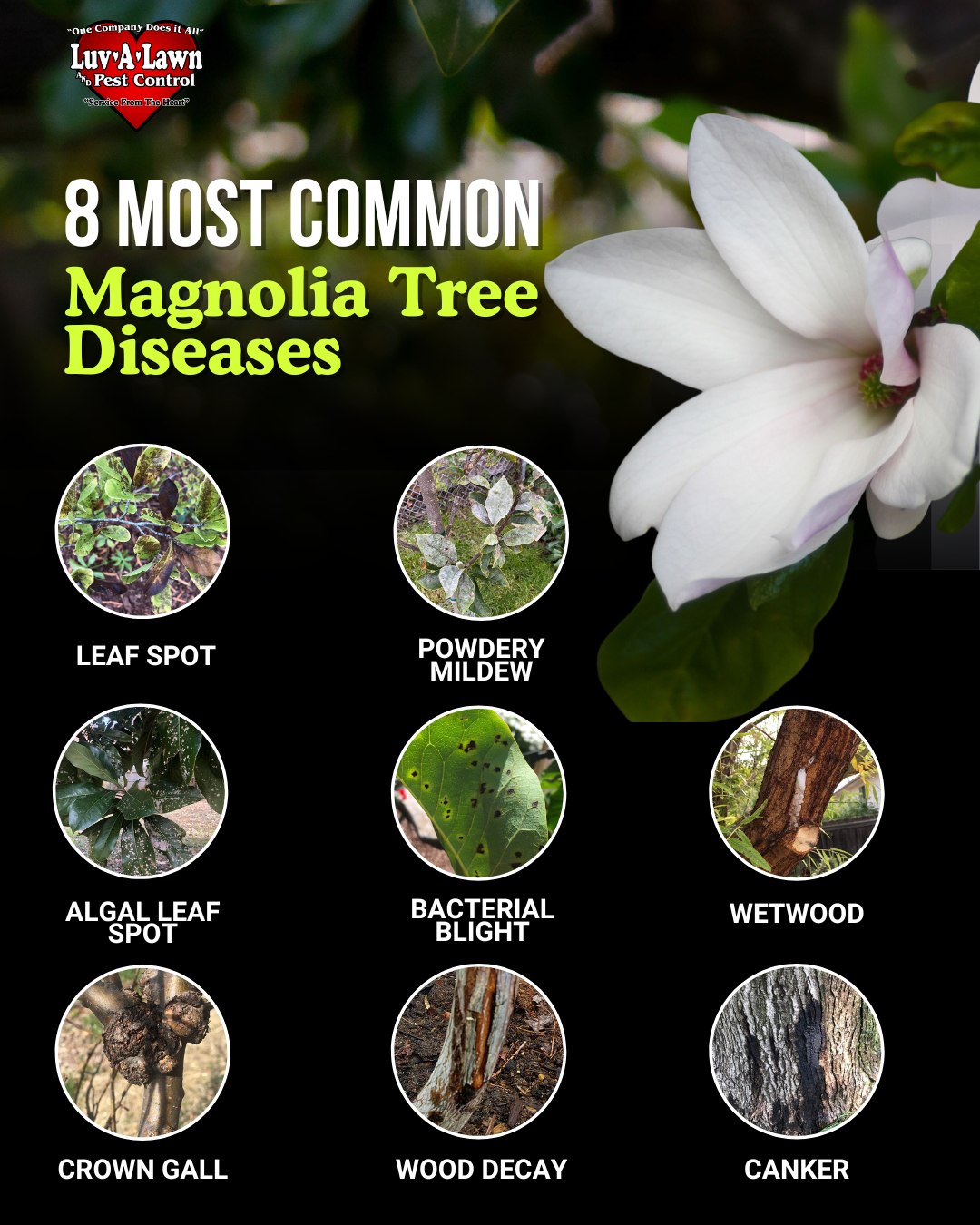 Luv-A-Lawn and Pest Control 510 Marvin C. Zanders Ave, Apopka Florida 32703