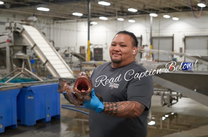 Safe Harbor Seafood Restaurant Atlantic Beach