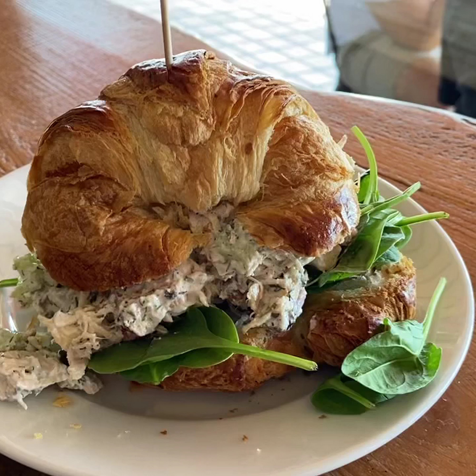 Belleair Coffee Company & Roastery Belleair Bluffs