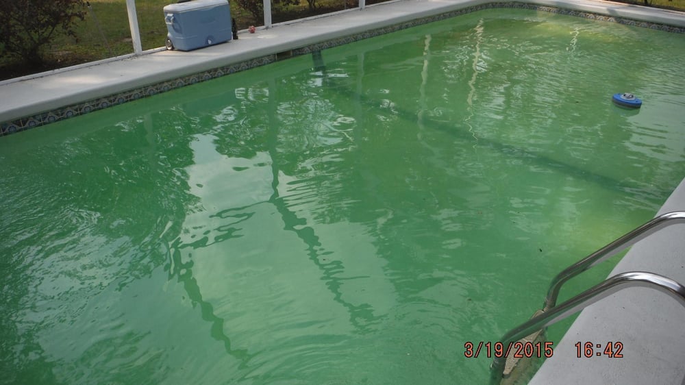 Scott Barber Pool Service