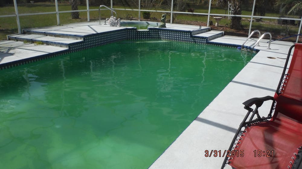 Scott Barber Pool Service